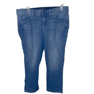 Torrid premium plus size jeans size 20